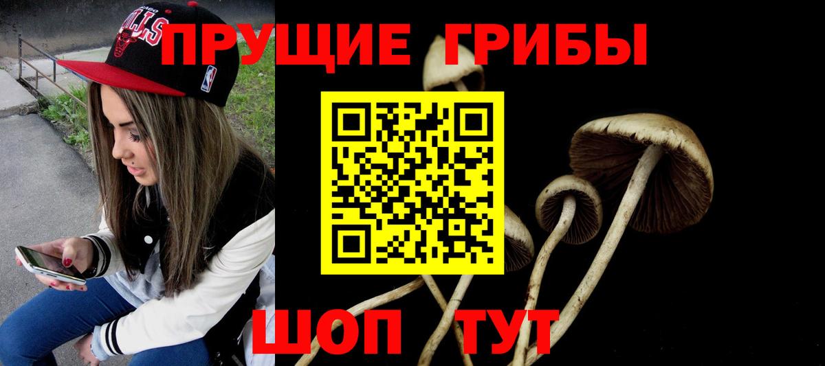 Псилоцибиновые грибы Magic Shrooms Орехово-Зуево