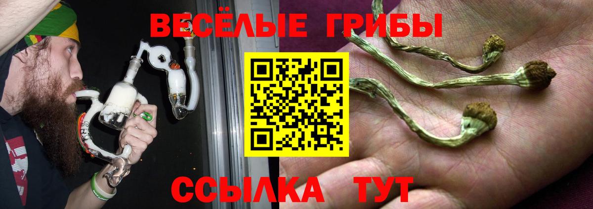 Псилоцибиновые грибы прущие грибы  Галлюциногенные грибы мицелий  Вход с VPN  дарнет шоп  Орехово-Зуево 